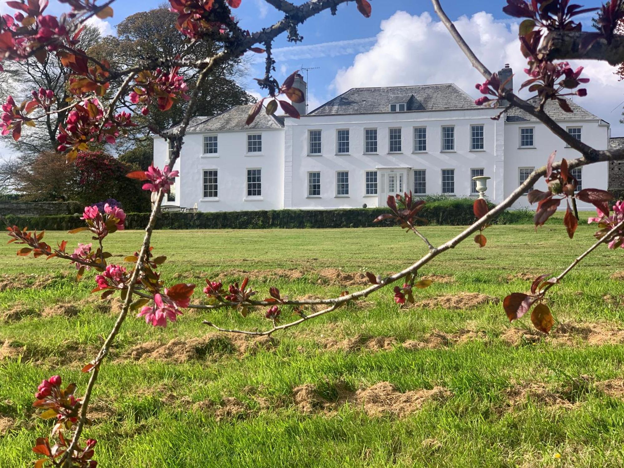 Trewardale Bed & Breakfast Bodmin Eksteriør bilde